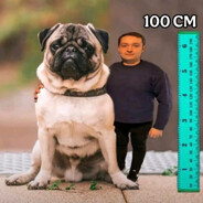 Ессентуки №17