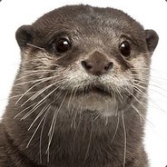 SauKKo