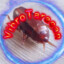 VibroTaracan