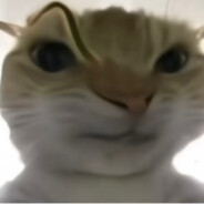 神官期待打酱油