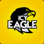 IcyEagle