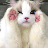 看此日桃花灼灼