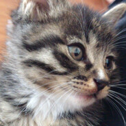 我在蒸汽平台扫垃圾