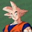 Goku Careca