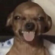 往无臂老人后背撒痒粉