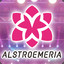 ALSTROEMERIA