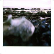 slowriottt - steam id 76561197961093727