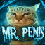 Mr.Penis