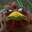 CrispyChicken44