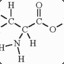 carbohydrate [IFN.GG]