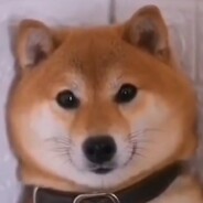 柴博士还会爱成果吗