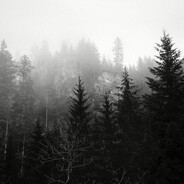 в объятиях Тайги