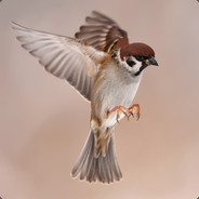 Eaglehill Fireplace - steam id 76561197970389265