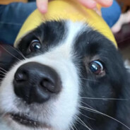 TrIppIng吹吹彩虹屁