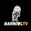Barnowl