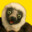 ZOBOOMAFOO