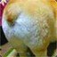 黄大仙
