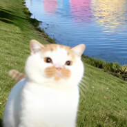 你芝士甘薯么呀