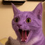 MeowMan