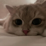 每个人都是星星