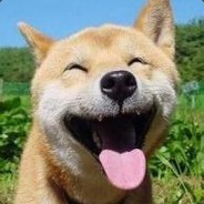 GoGo