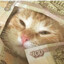safy