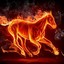 firehorse0505