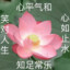 白日梦尽头