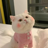 Give_你也想和瓦龙斗斗吗