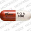 pgn300