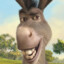 Donkey