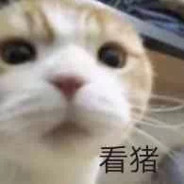 有这种队友真是我的不幸