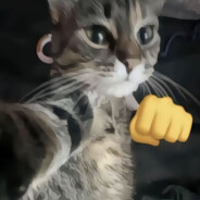 在座各位通通吃我一拳