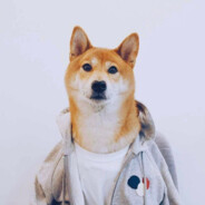 王摸鱼不爱听rap