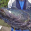 Clovis Pescarias