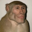Калоимитатор's avatar