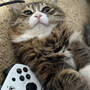 你再看看你后面呢