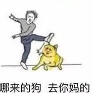 自负且intelligent