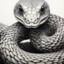 snake