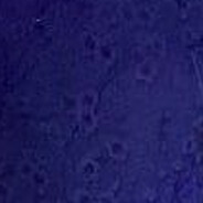 джек подрочитель