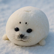 Ева минетики