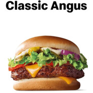 Oz f**king Israel free Palestine