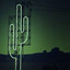 TheNorthCactus