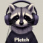 Pletch