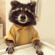 TrashPandacoot