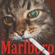 𝐌𝐀𝐑𝐋𝐁𝐎𝐑𝐎