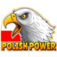 POLISHPOWER