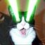 LazerCat