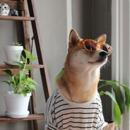 胆小鬼，我要向前走啦！