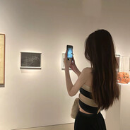 逗猫逗狗逗大象